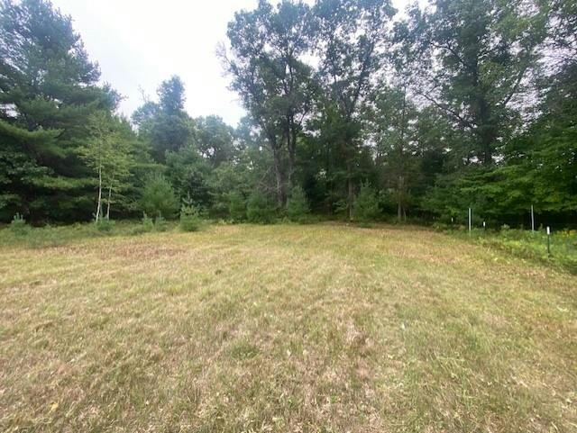 4 ACRES MOL STATE HIGHWAY 54 WEST