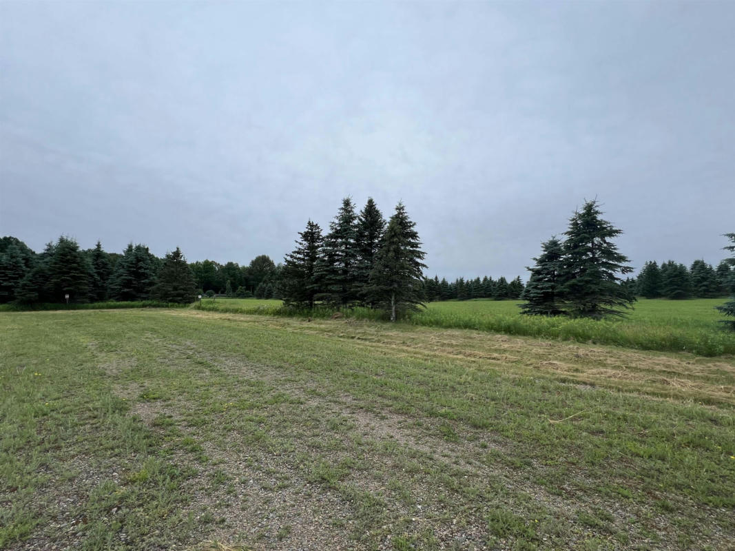 LOT 9 SUE ALAN DRIVE, WITTENBERG, WI 54499, photo 1