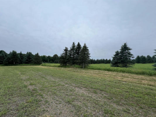 LOT 9 SUE ALAN DRIVE, WITTENBERG, WI 54499 - Image 1