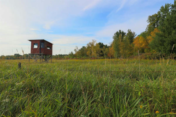 COUNTY ROAD II, RUDOLPH, WI 54475, photo 4 of 25