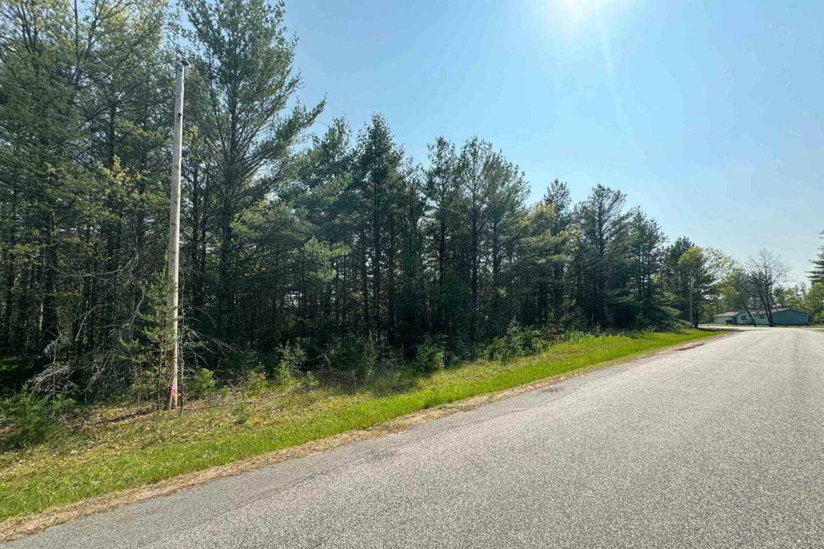 LOT 24 DUBAY PINES SUBDIVISION, JUNCTION CITY, WI 54443, photo 1 of 13