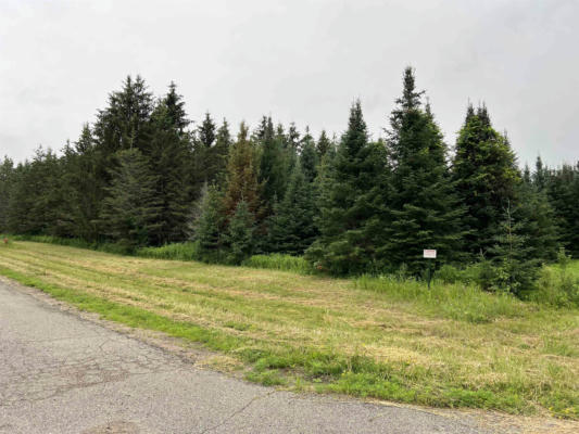 LOT 3 SUE ALAN DRIVE, WITTENBERG, WI 54499 - Image 1