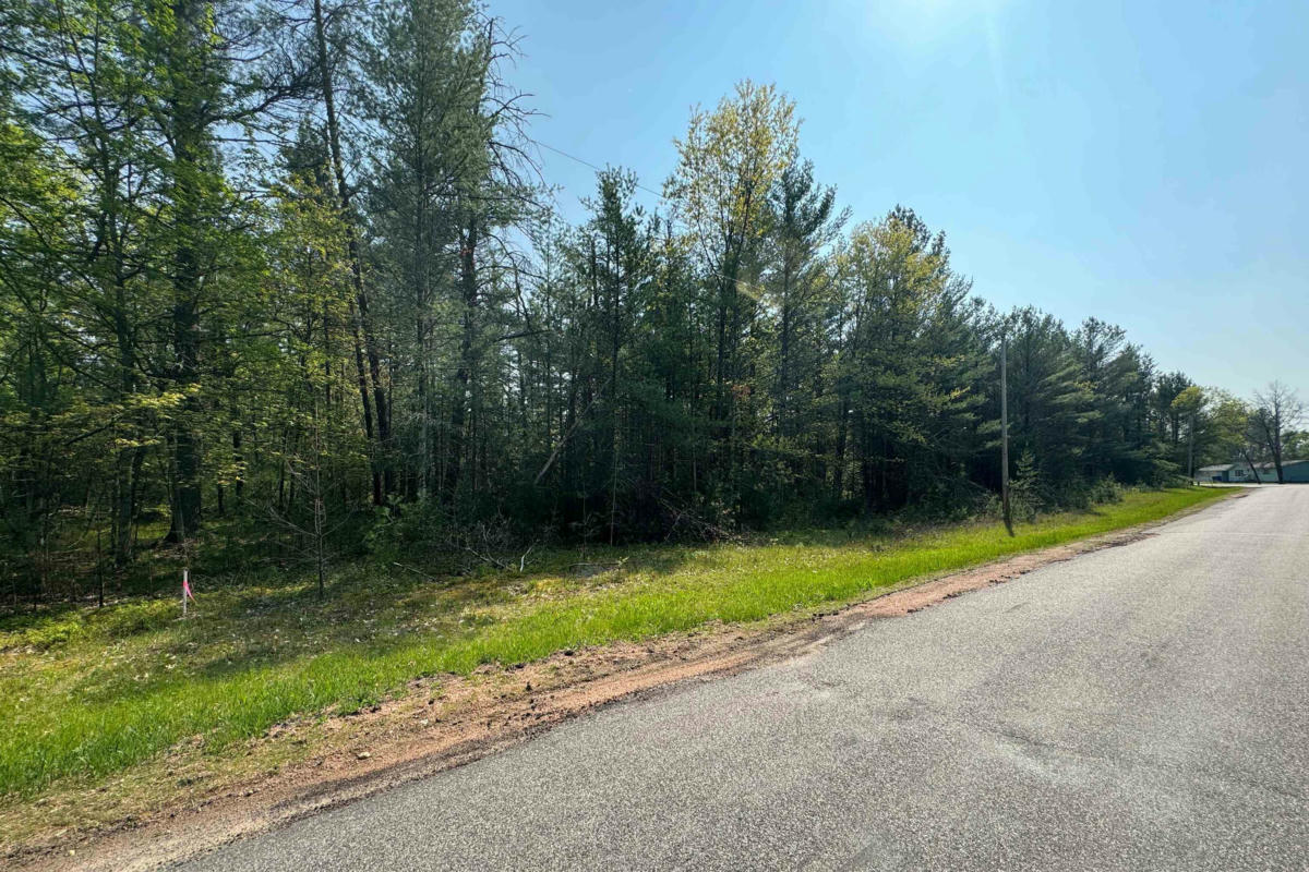 LOT 23 DUBAY PINES SUBDIVISION, JUNCTION CITY, WI 54443, photo 1 of 13