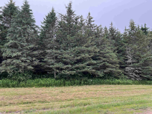 LOT 5 SUE ALAN DRIVE, WITTENBERG, WI 54499 - Image 1