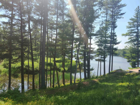 LOT 1 SOUTH BLUFF TRAIL, WISCONSIN RAPIDS, WI 54494 - Image 1