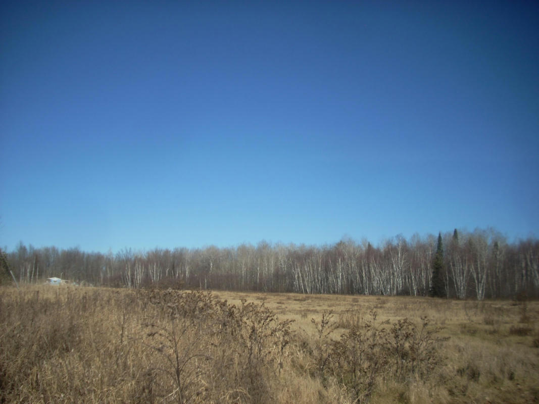 35.85 ACRES COUNTY ROAD JJ, MERRILL, WI 54452, photo 1 of 5