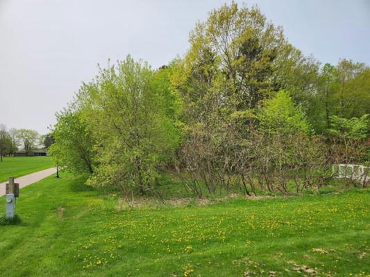 LOT 8 3RD STREET, PITTSVILLE, WI 54466 - Image 1