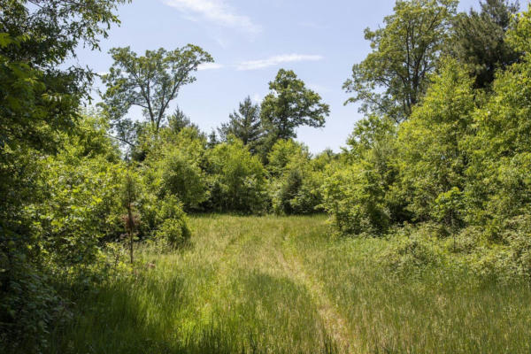 80 ACRES COUNTY ROAD V, DEERFIELD, WI 54943, photo 5 of 10