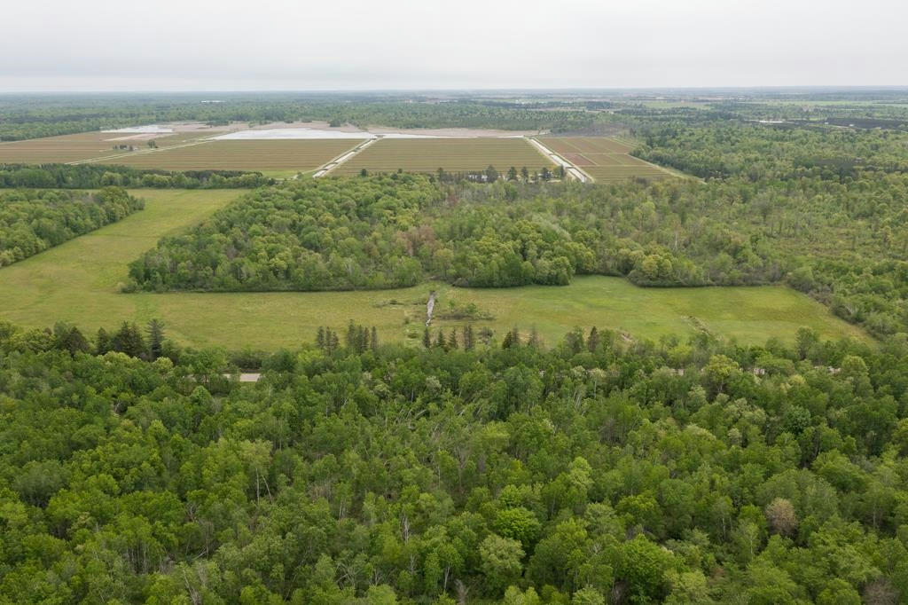 LOT 1 80TH STREET NORTH, WISCONSIN RAPIDS, WI 54494, photo 1 of 17