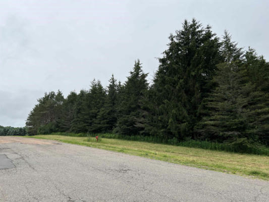 LOT 6 SUE ALAN DRIVE, WITTENBERG, WI 54499 - Image 1