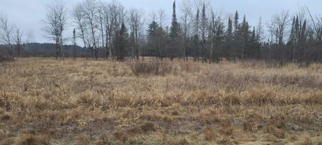 80 ACRES COUNTY ROAD I, ROSHOLT, WI 54473, photo 4 of 5