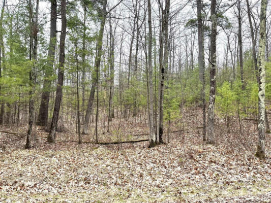 LOT 4 LAKE YAWKEY DRIVE, HAZELHURST, WI 54531 - Image 1