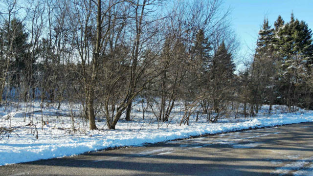 LOT 1 CUSTER SQUARE, STEVENS POINT, WI 54482 - Image 1