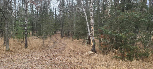 80 ACRES COUNTY ROAD I, ROSHOLT, WI 54473, photo 3 of 5