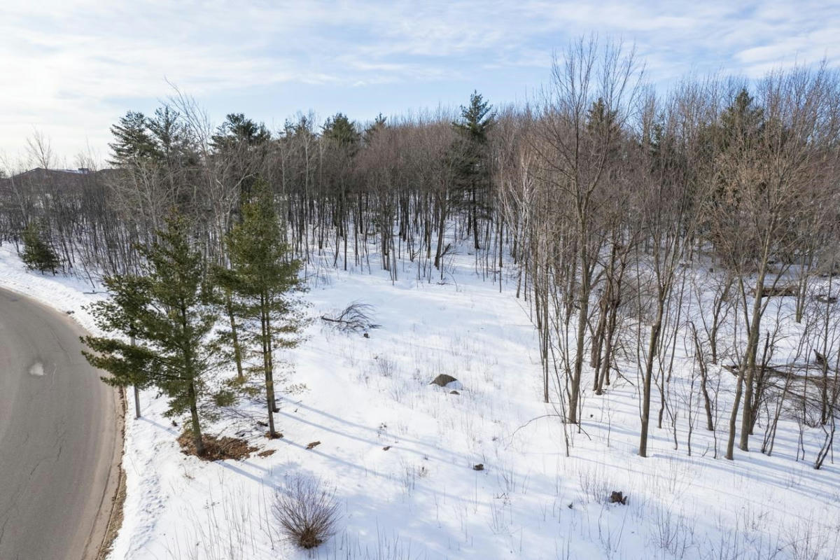 1.51 ACRES STATE HGHWAY 153, MOSINEE, WI 54455, photo 1 of 13