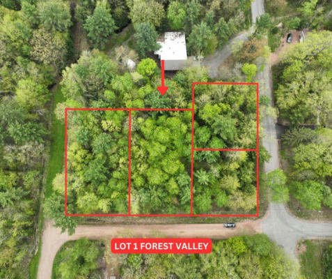 LOT 1 FOREST VALLEY ROAD, WAUSAU, WI 54403 - Image 1
