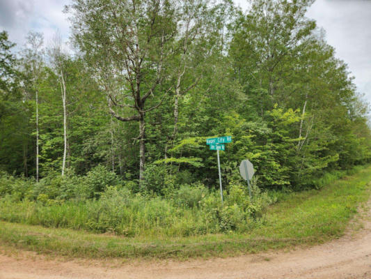 JOE SNOW ROAD, MERRILL, WI 54452 - Image 1