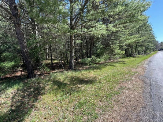 LOT 47 DUBAY PINES SUBDIVISION, JUNCTION CITY, WI 54443, photo 2 of 9